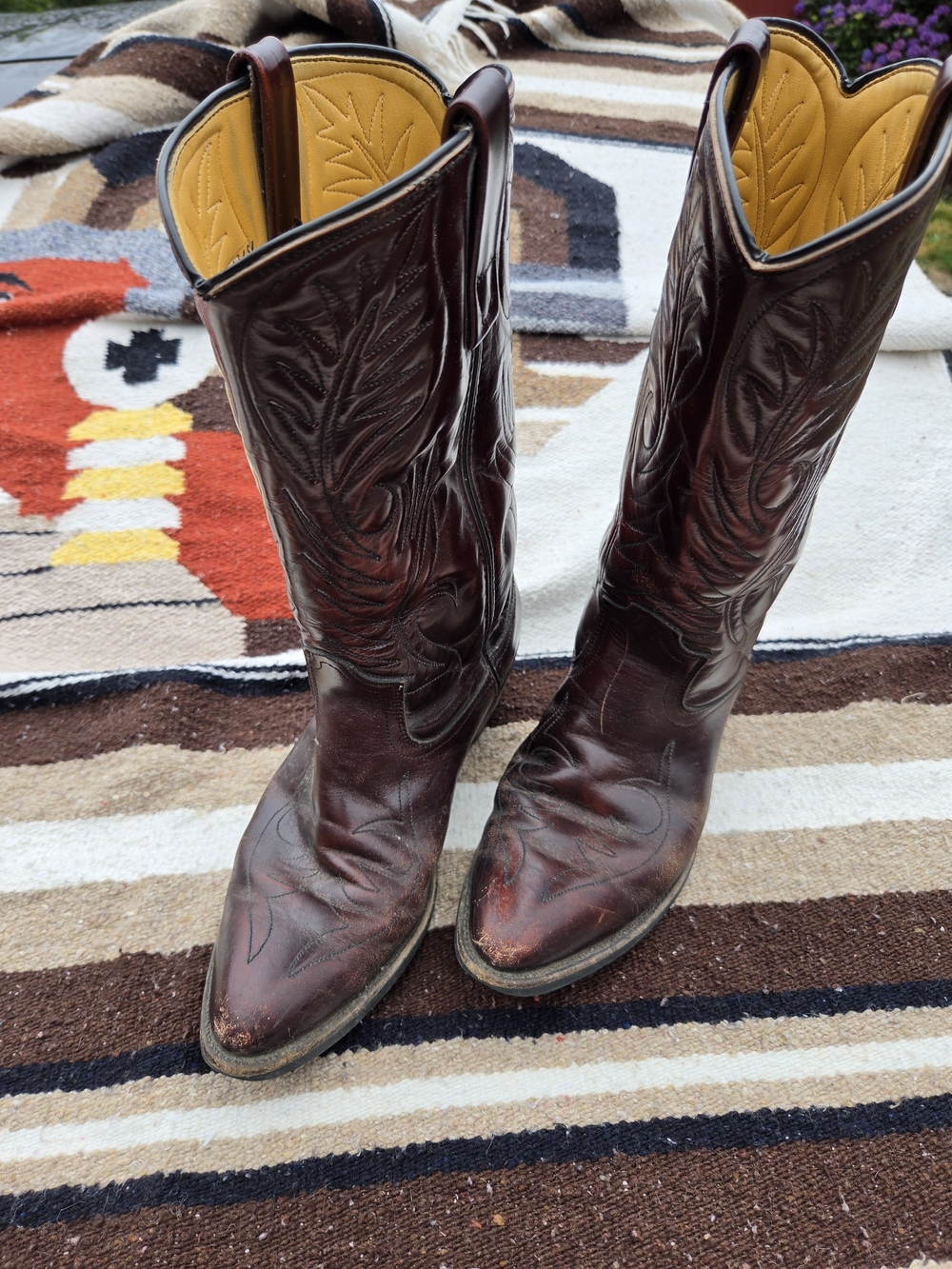 Mason Women's Tall Western Boots in Dark Brown with Yellow Lining